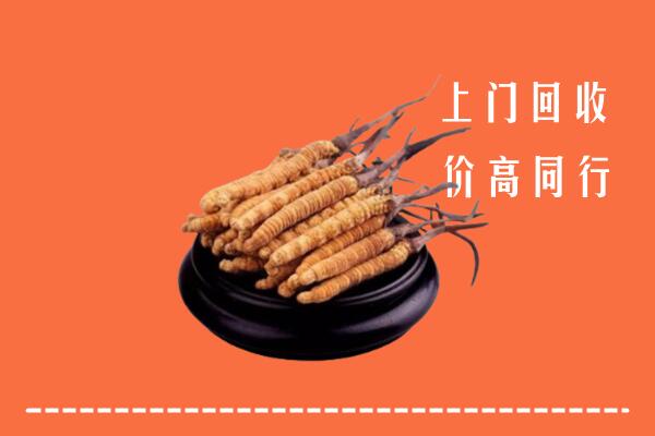 高价求购：鹰潭市回收散虫草