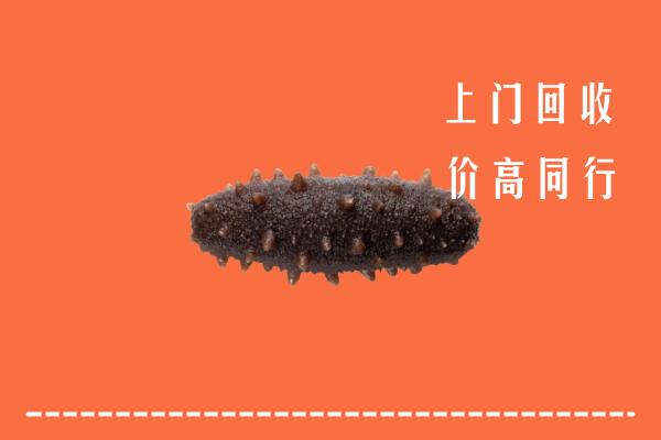 高价求购：鹰潭市回收海参