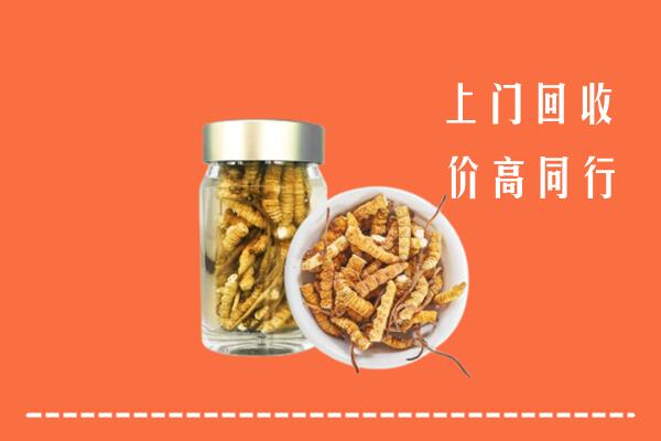 鹰潭市回收冬虫夏草