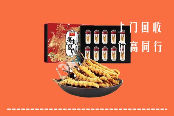 鹰潭市回收虫草